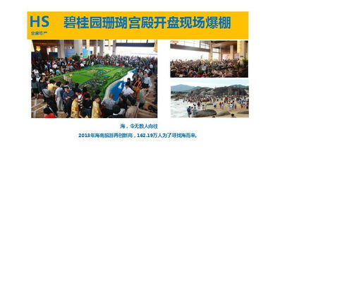 房地產(chǎn)營(yíng)銷(xiāo)策劃精要 市場(chǎng)定位與創(chuàng)新策略之路